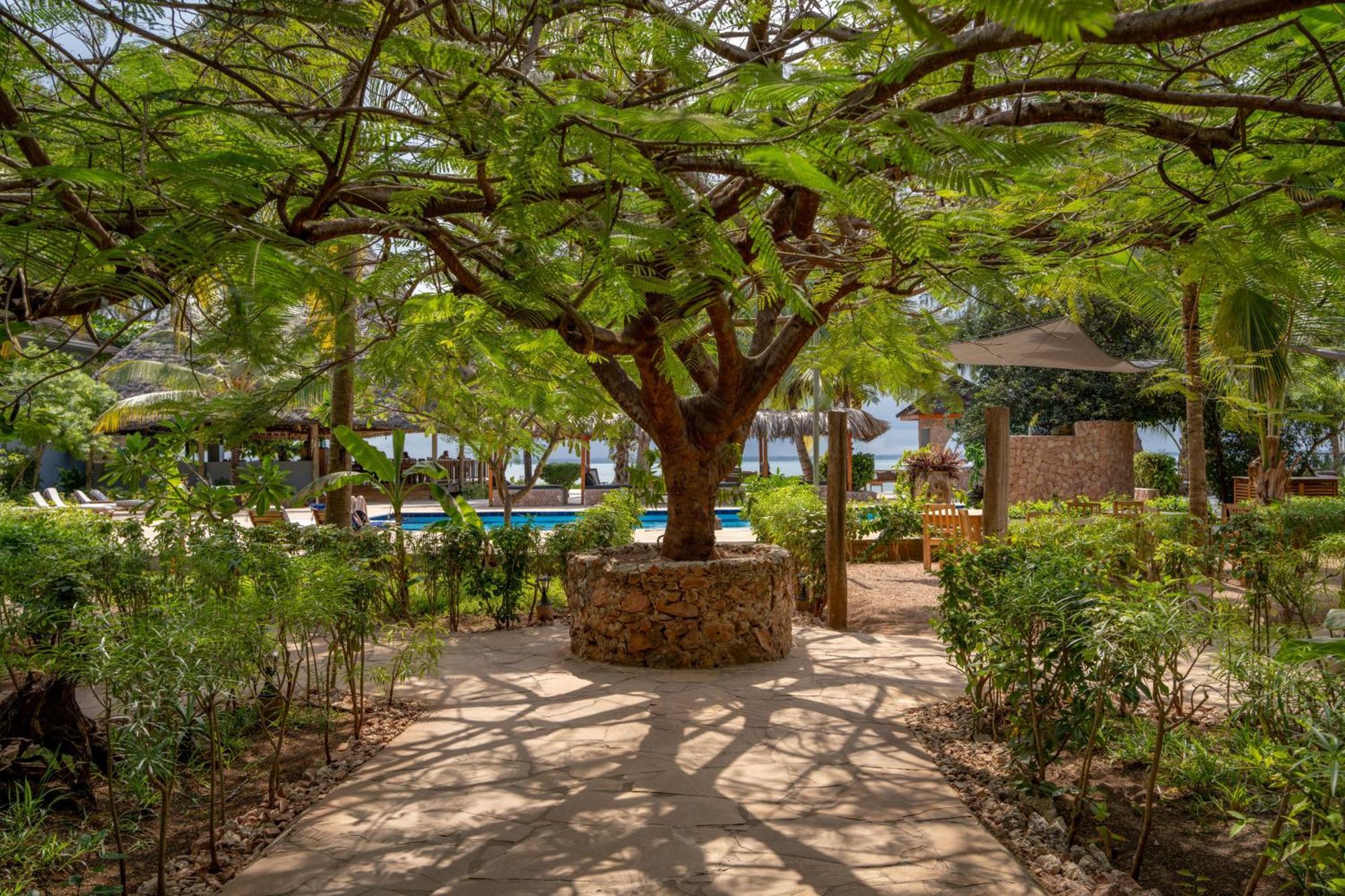 Michamvi Sunset Bay Hotel Exterior foto